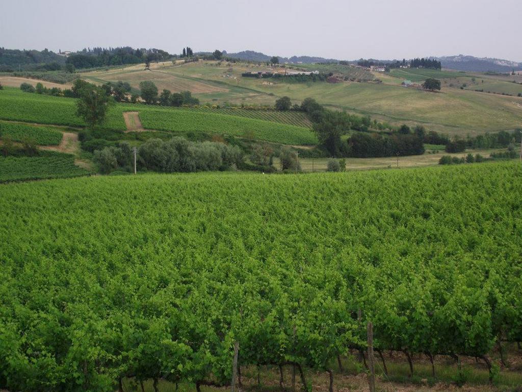 Villa Casalta Agriturismo Castellina in Chianti Exterior photo